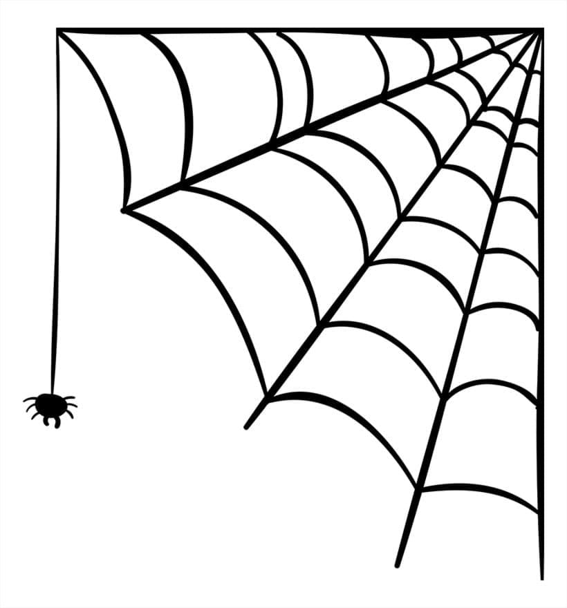 Desenho deTeia de Aranha Grátis para colorir