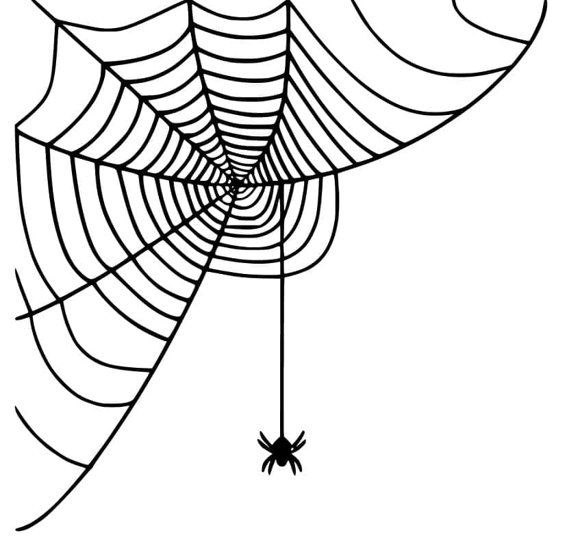 Desenho deTeia de Aranha Halloween para colorir