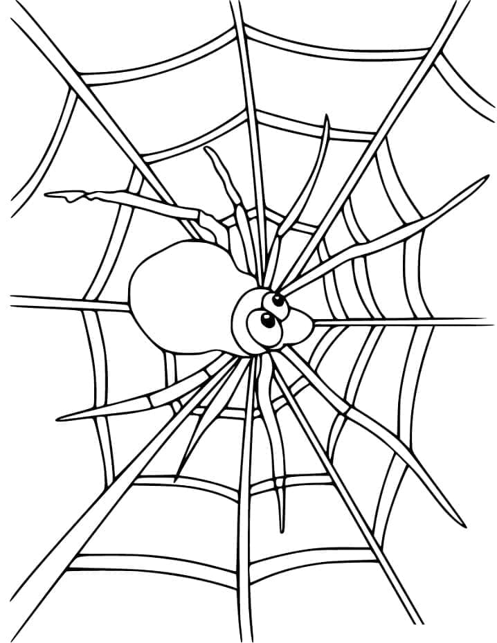 Desenhos de Teia de Aranha para colorir