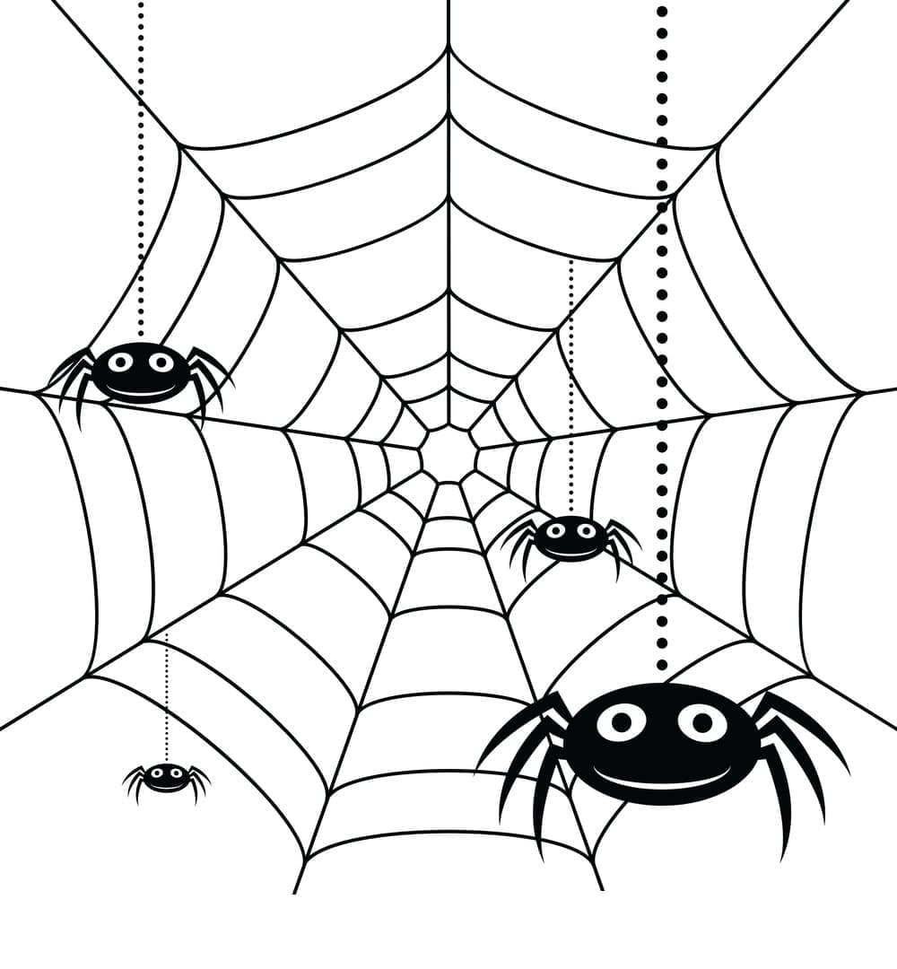 Desenho deTeia de Aranha Imprimível para colorir