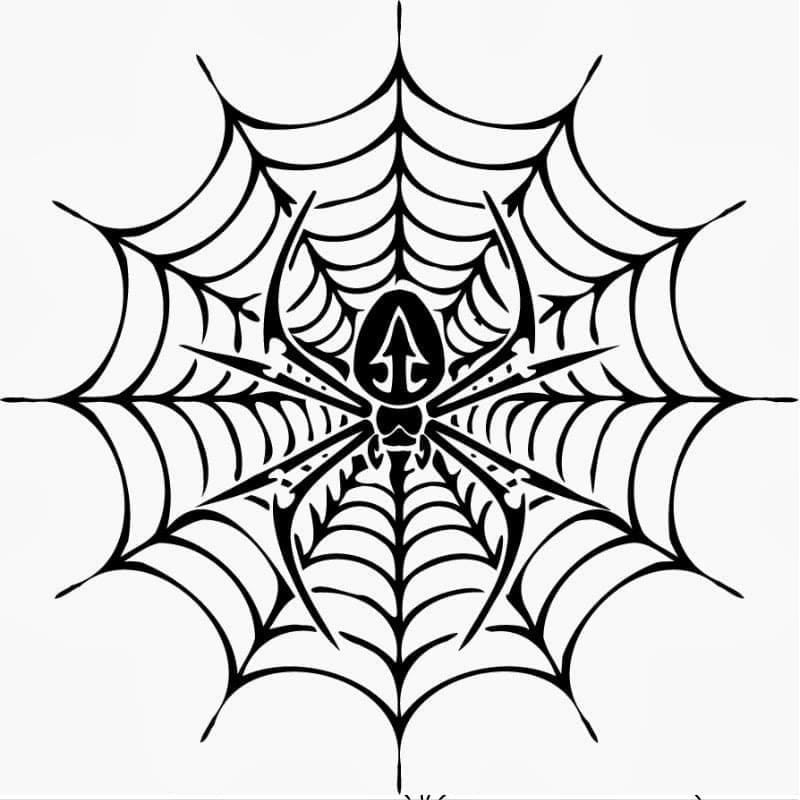 Desenho deTeia de Aranha Maravilhosa para colorir