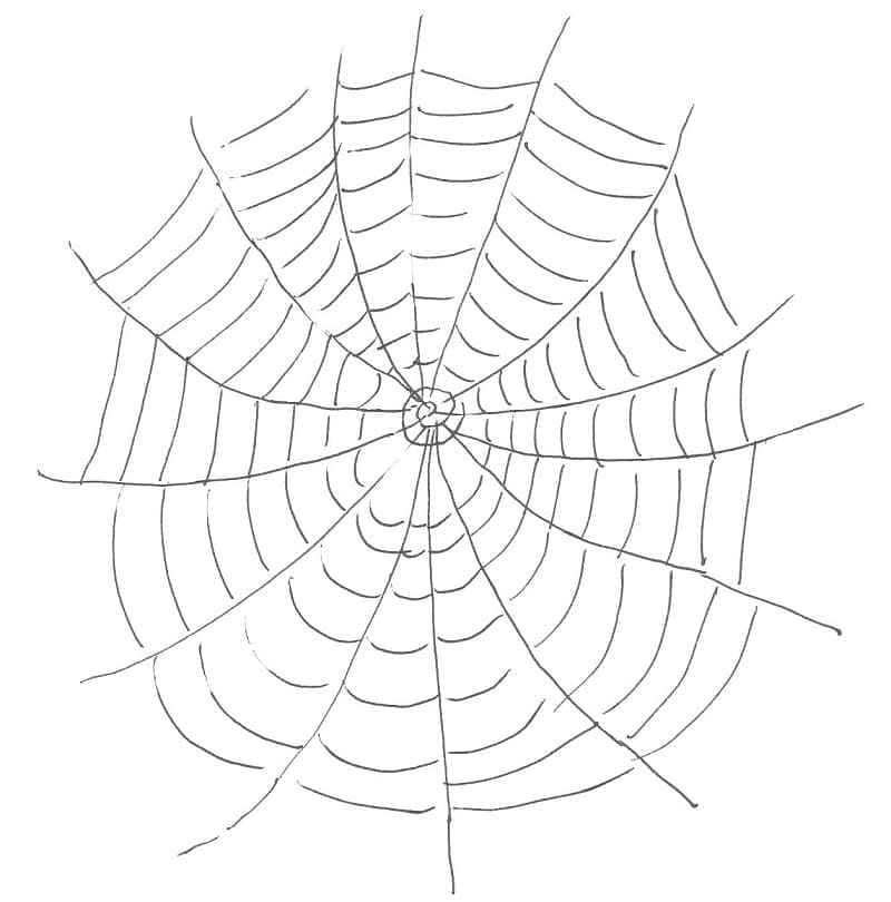 Desenho deTeia de Aranha Muito Simples para colorir