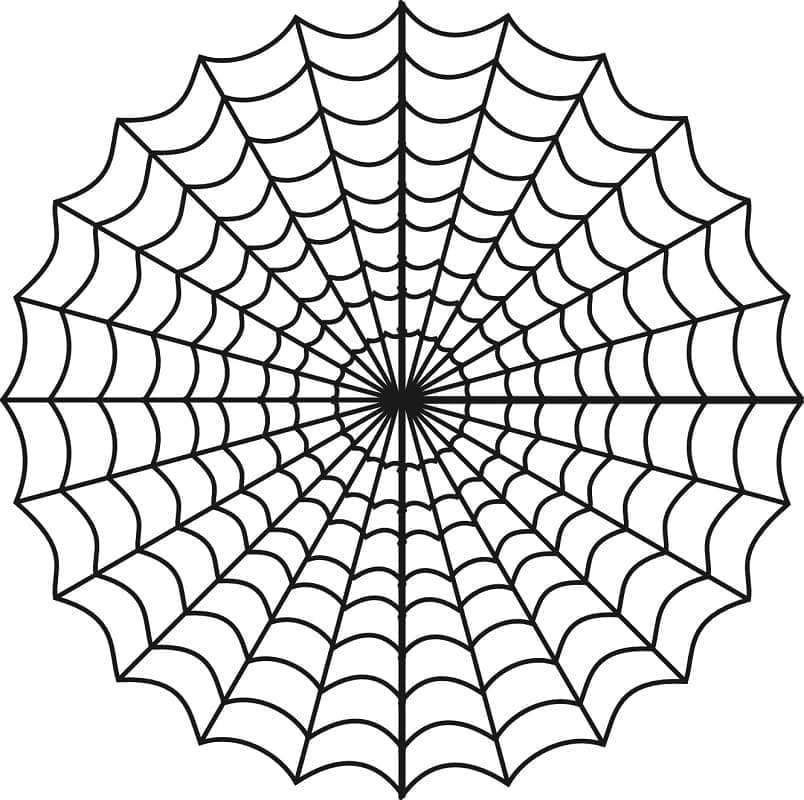 Desenho deTeia de Aranha Perfeita para colorir