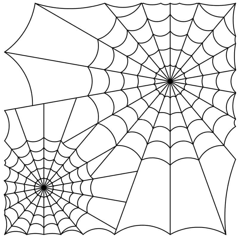 Desenho deTeias de Aranha para colorir