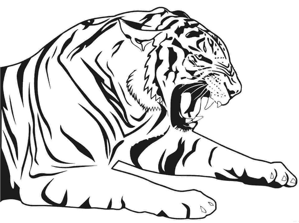 Desenho de Tigre Irritado para colorir