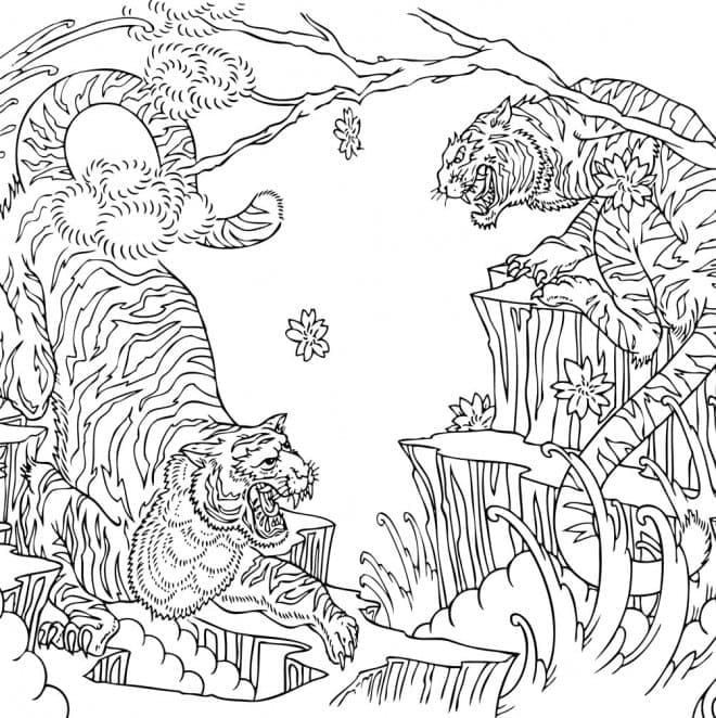 Desenho deTigres Lutando para colorir