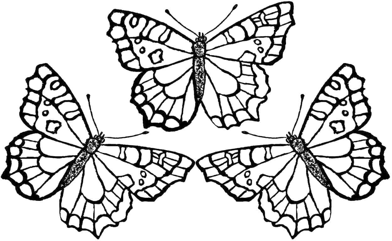 Desenho deTrês Borboletas para colorir