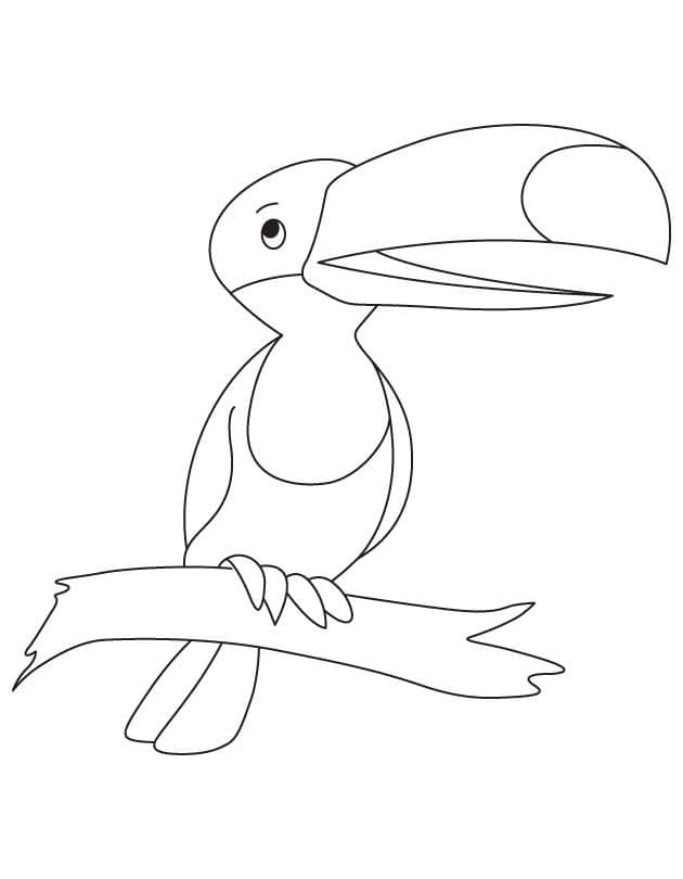 Desenho de Tucano Fácil para colorir