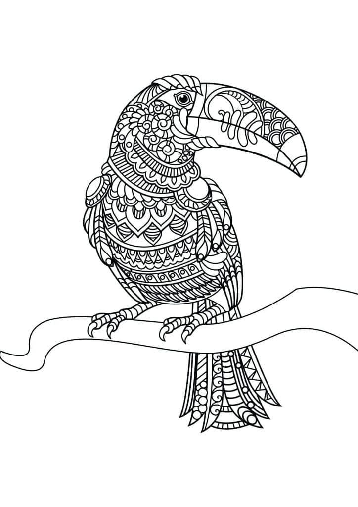 Desenho de Tucano Zentangle para colorir