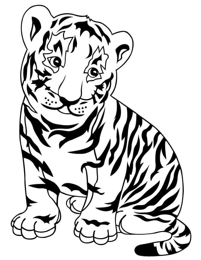 Desenho deUm Bebê Tigre para colorir