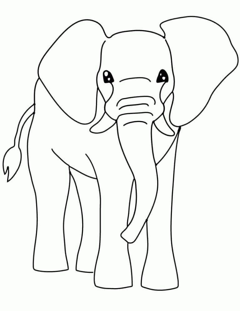 Desenho deUm Elefante Fácil para colorir