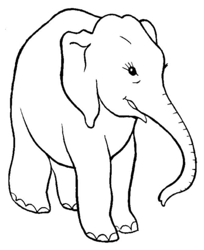 Desenho de Um Elefante Muito Feliz para colorir