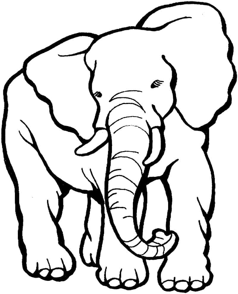 Desenho deUm Elefante Normal para colorir