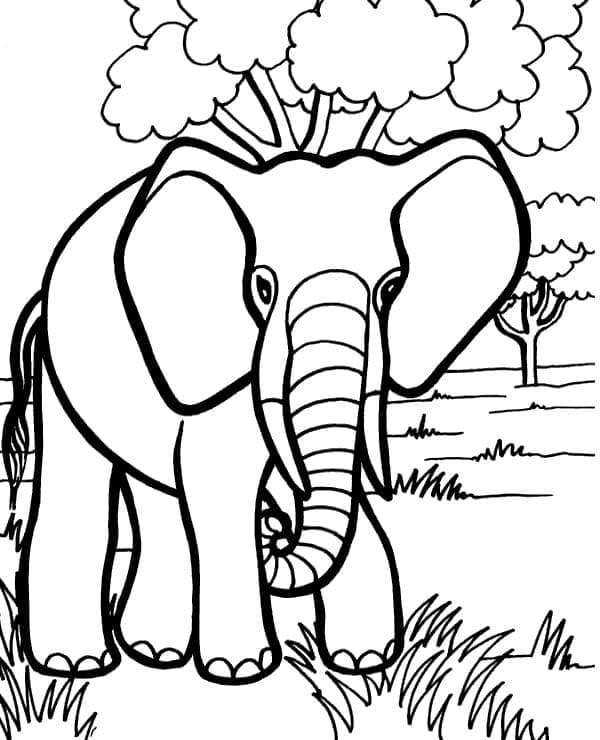 Desenho deUm Elefante Selvagem para colorir