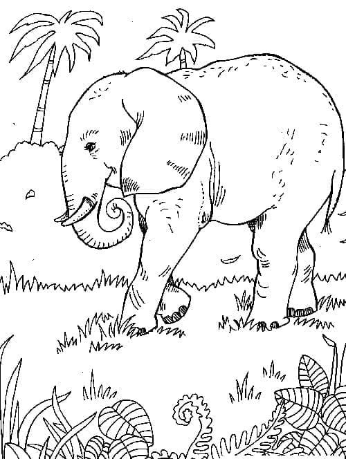 Desenho deUm Elefante na Selva para colorir