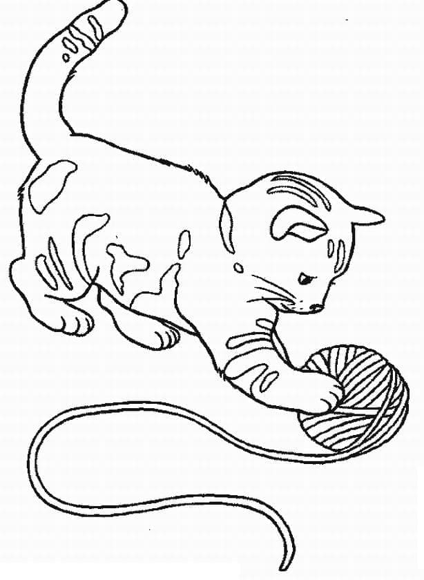 Desenho de Um Gatinho para colorir