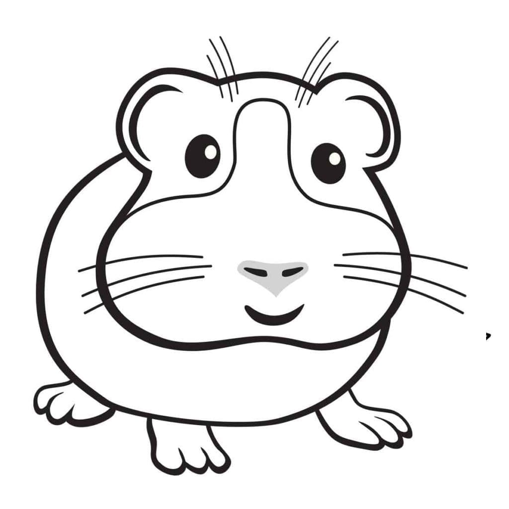 Desenho deUm Hamster Muito Feliz para colorir