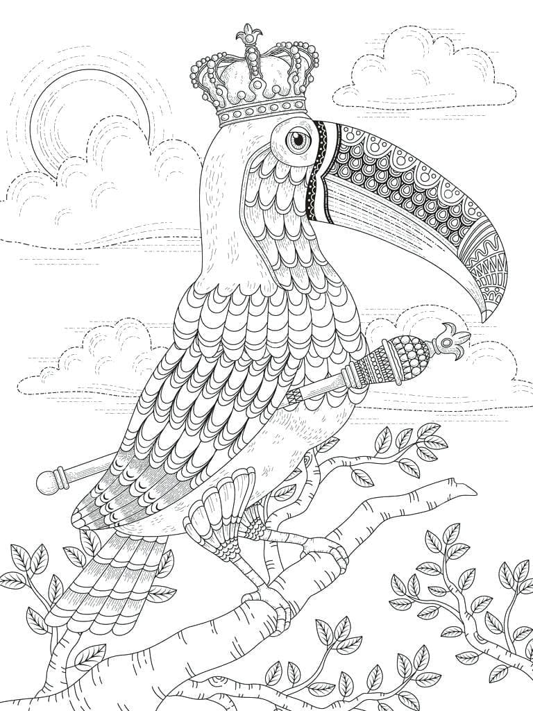 Desenho de Um Lindo Tucano para colorir