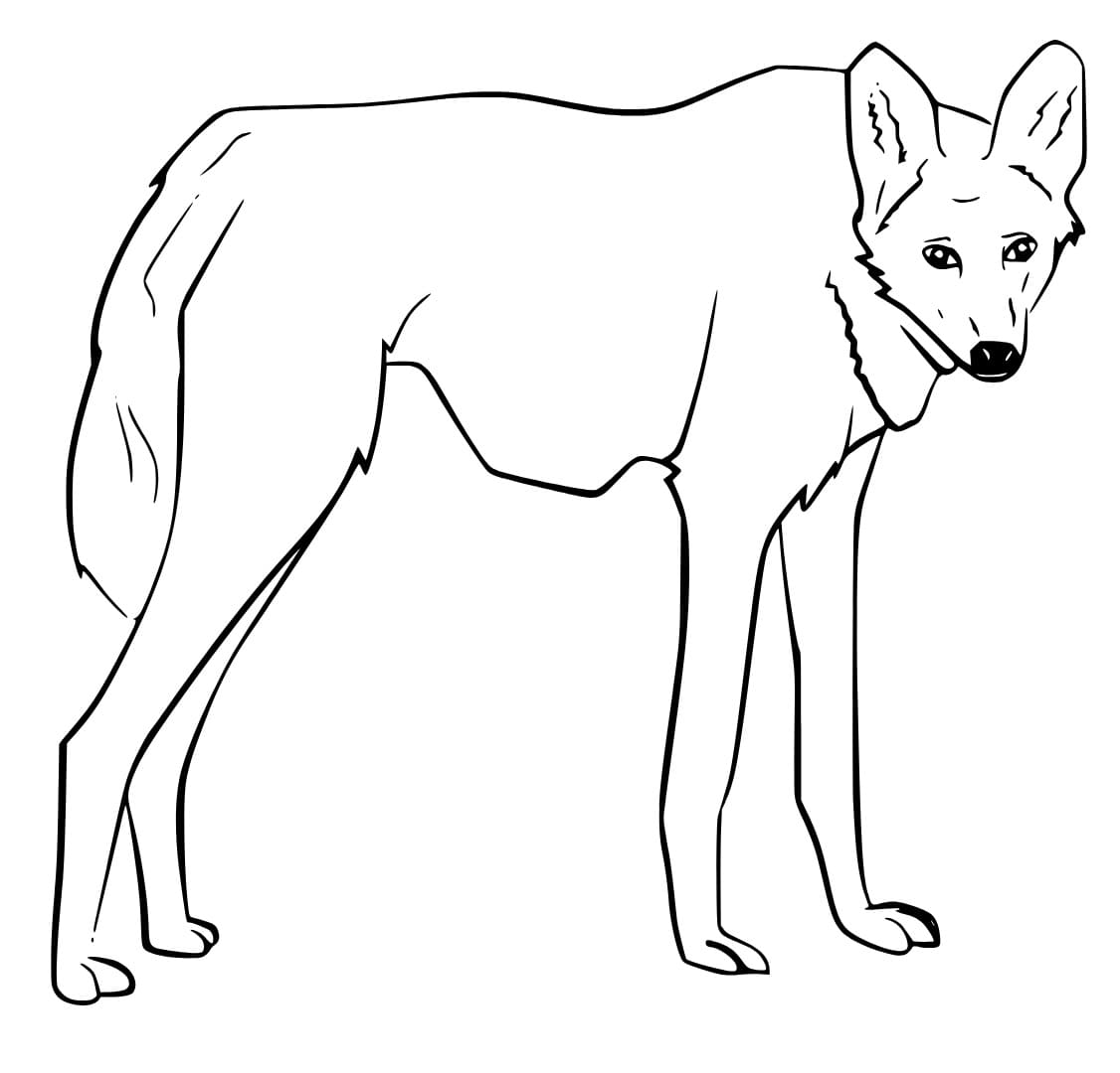 Desenhos de Lobo Guará para colorir