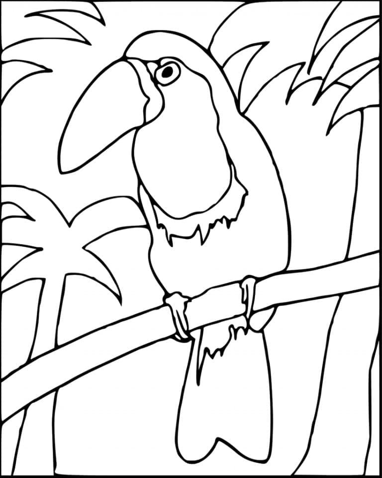 Desenho deUm Pássaro Tucano para colorir