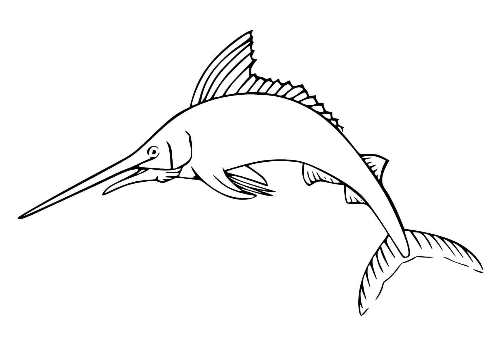 Desenhos de Peixe Marlin para colorir