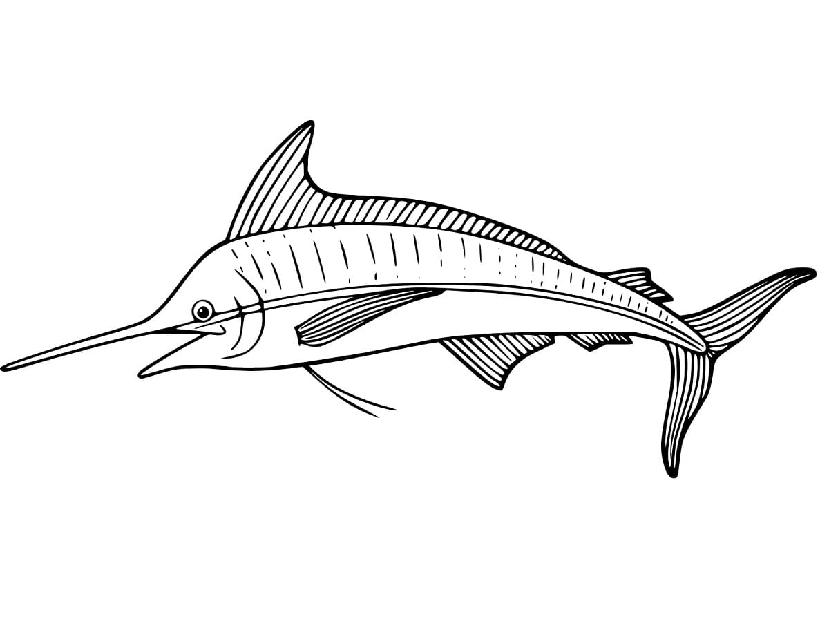 Desenho deUm Peixe Marlin de Desenho Animado para colorir