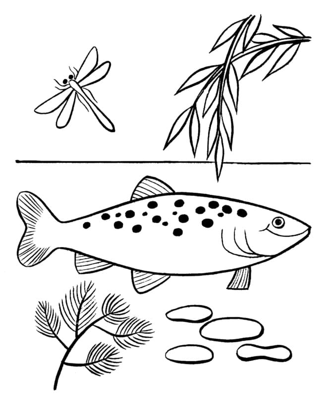 Desenho deUm Peixe Nadador para colorir