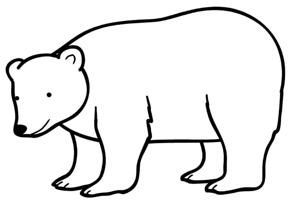 Desenho deUm Urso para colorir