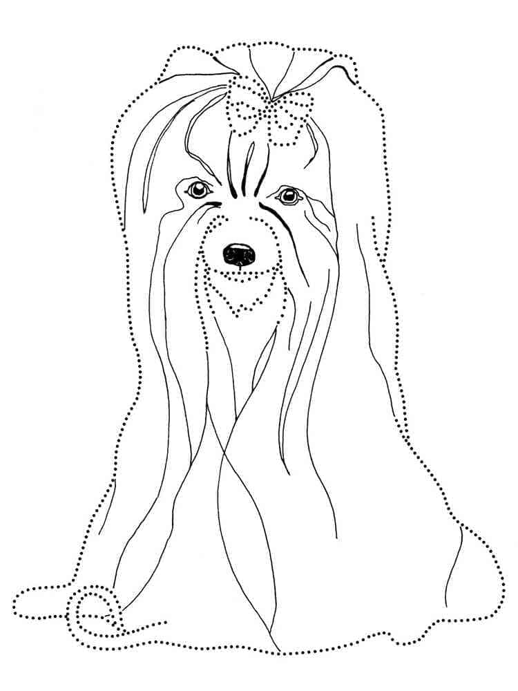 Desenho deUm Yorkshire Terrier Fácil para colorir