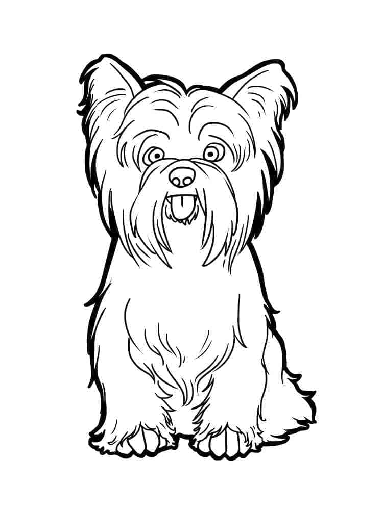 Desenho deUm Yorkshire Terrier Feliz para colorir