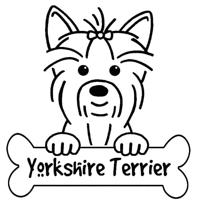 Desenho deUm Yorkshire Terrier Muito Fofo para colorir