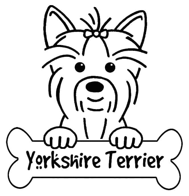 Desenho deUm Yorkshire Terrier Sorridente para colorir