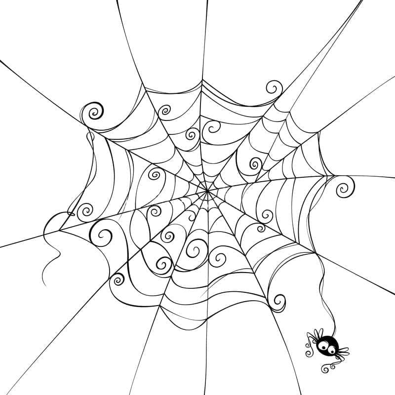 Desenho deUma Aranha e Teia de Aranha para colorir