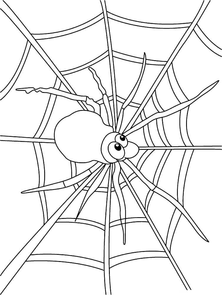 Desenho deUma Aranha na Teia de Aranha para colorir