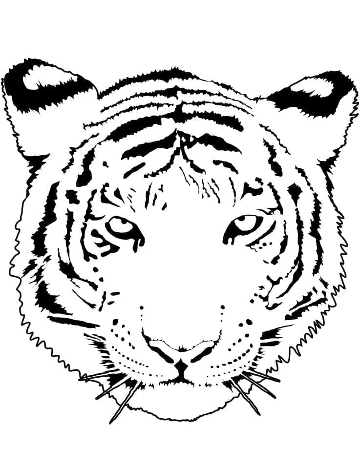 Desenho deUma Cara de Tigre para colorir