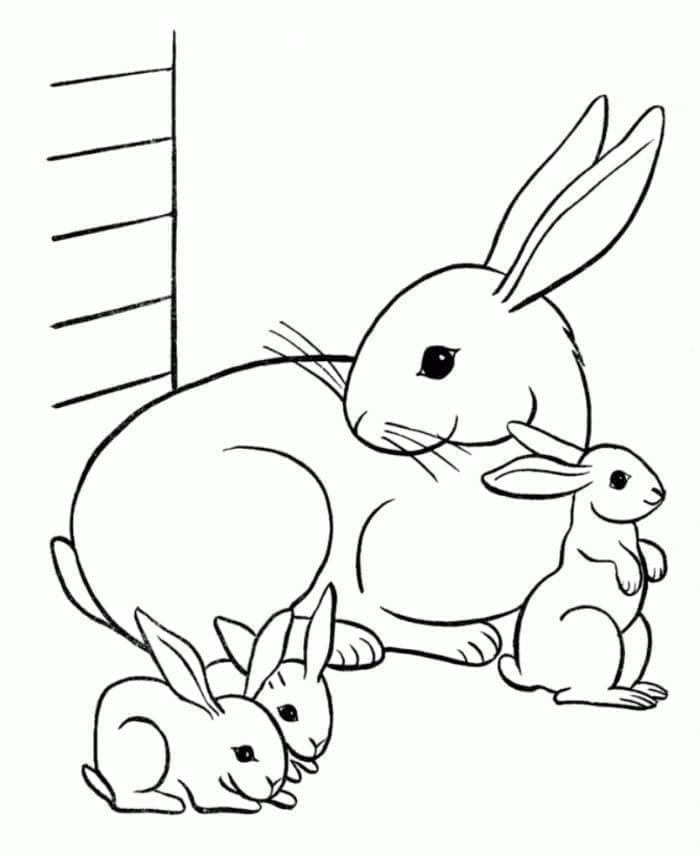 Desenho deUma Família de Coelhos para colorir