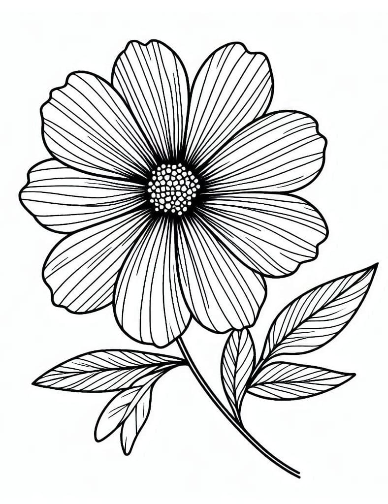 Desenho deUma Flor Bonita para colorir