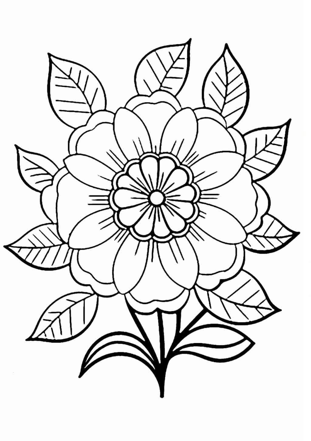 Desenho deUma Flor Muito Bonita para colorir