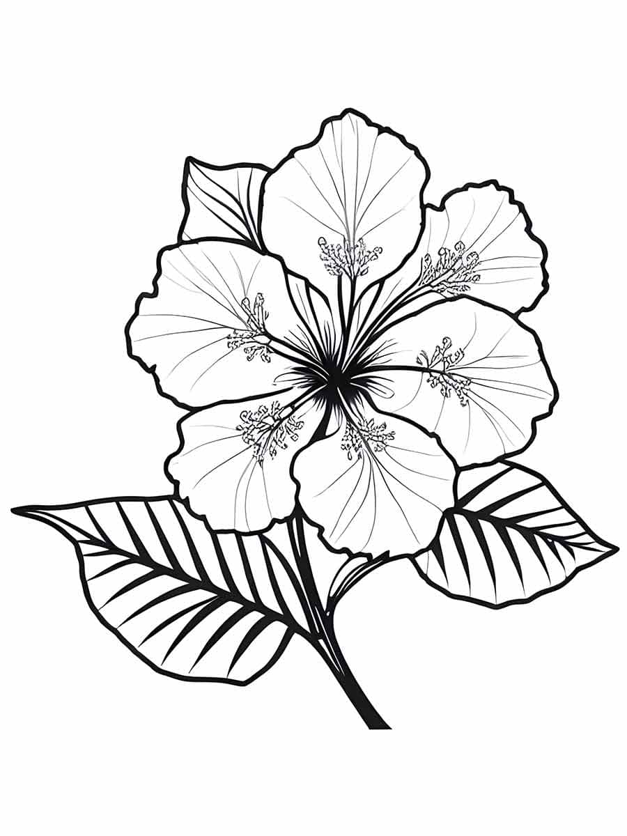 Desenho deUma Flor para colorir