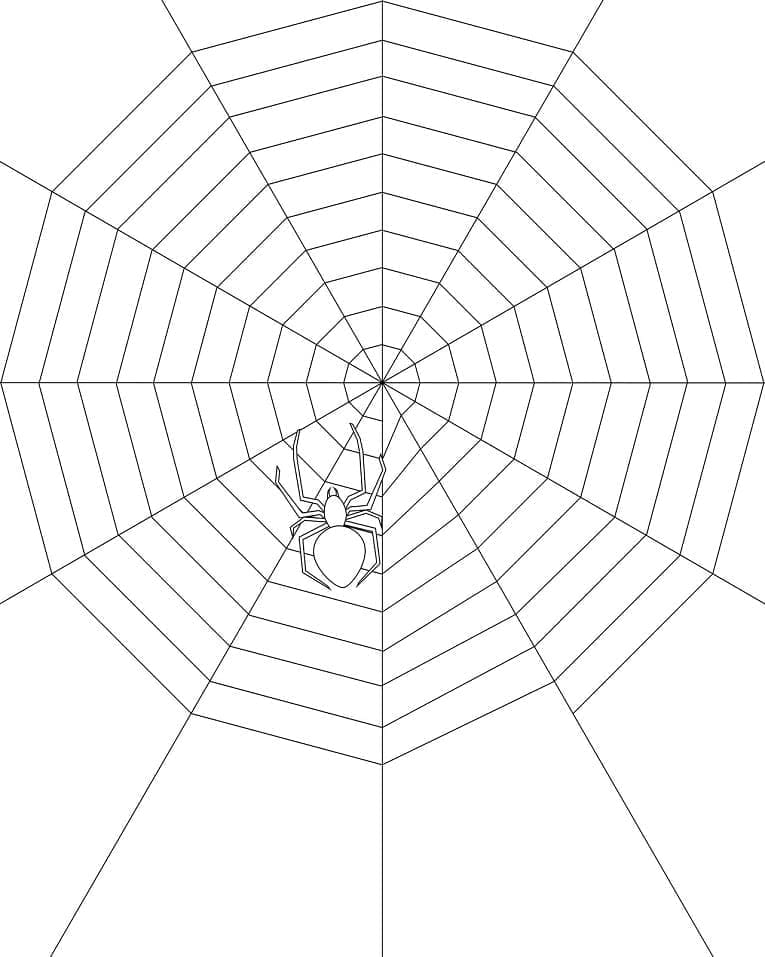 Desenho deUma Teia de Aranha Fácil para colorir