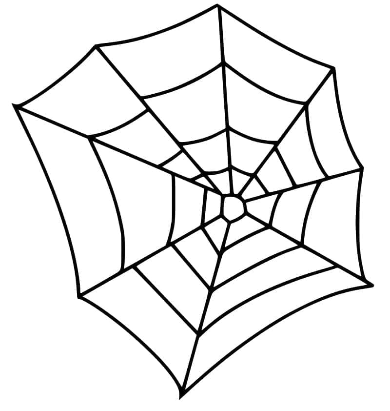 Desenho deUma Teia de Aranha Muito Fácil para colorir