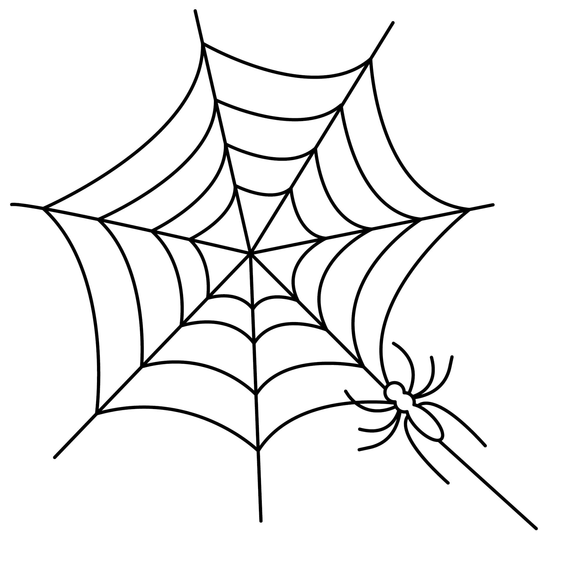 Desenho deUma Teia de Aranha Muito Simples para colorir