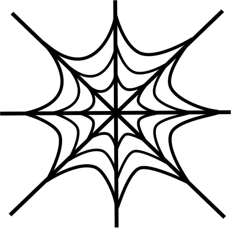 Desenho deUma Teia de Aranha Perfeita para colorir