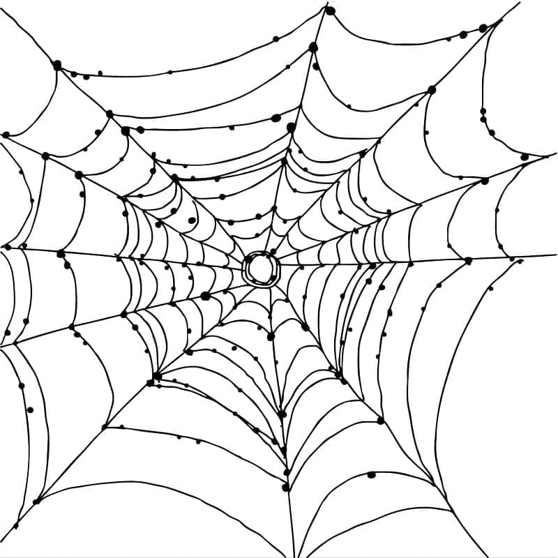 Desenho deUma Teia de Aranha para colorir