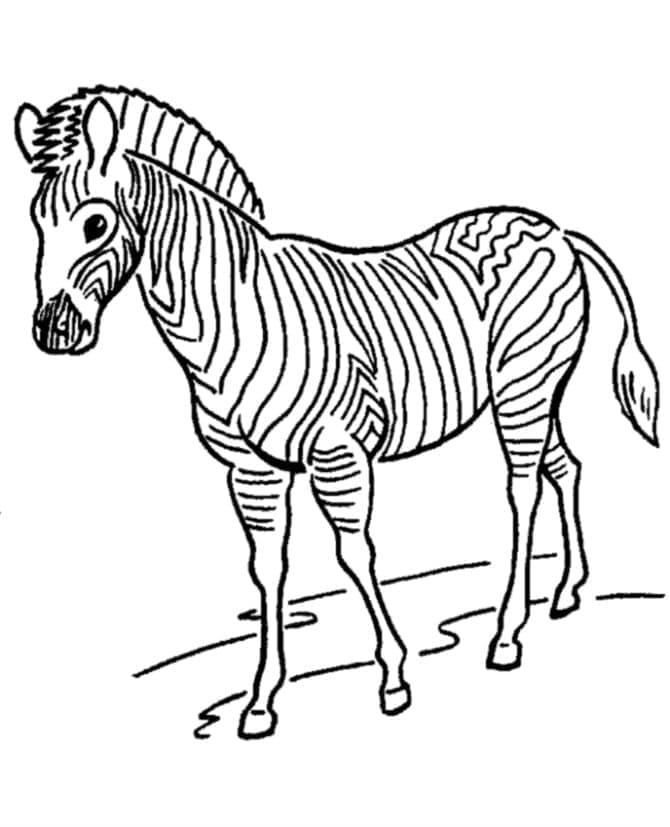 Desenho deUma Zebra para colorir