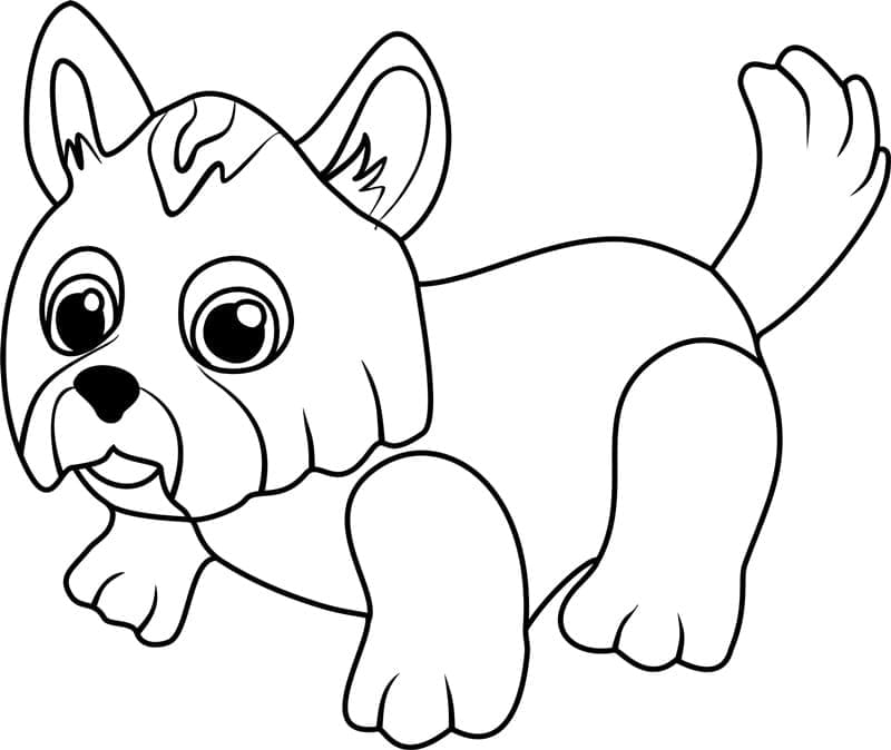 Desenho deYorkshire Terrier Fácil para colorir