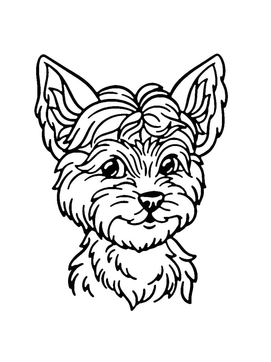 Desenho deYorkshire Terrier Grátis Para Crianças para colorir