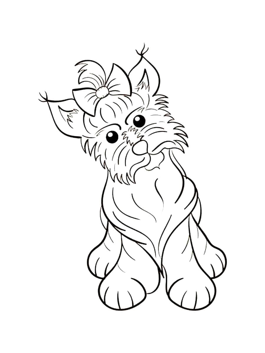 Desenho deYorkshire Terrier Grátis para colorir