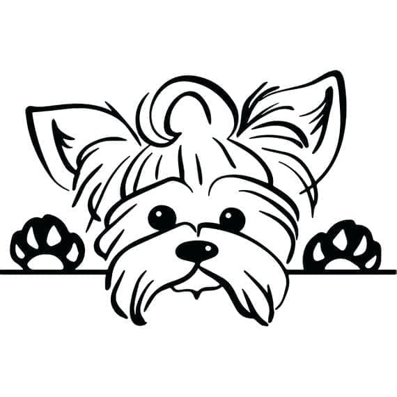 Desenho deYorkshire Terrier Imprimível Para Crianças para colorir