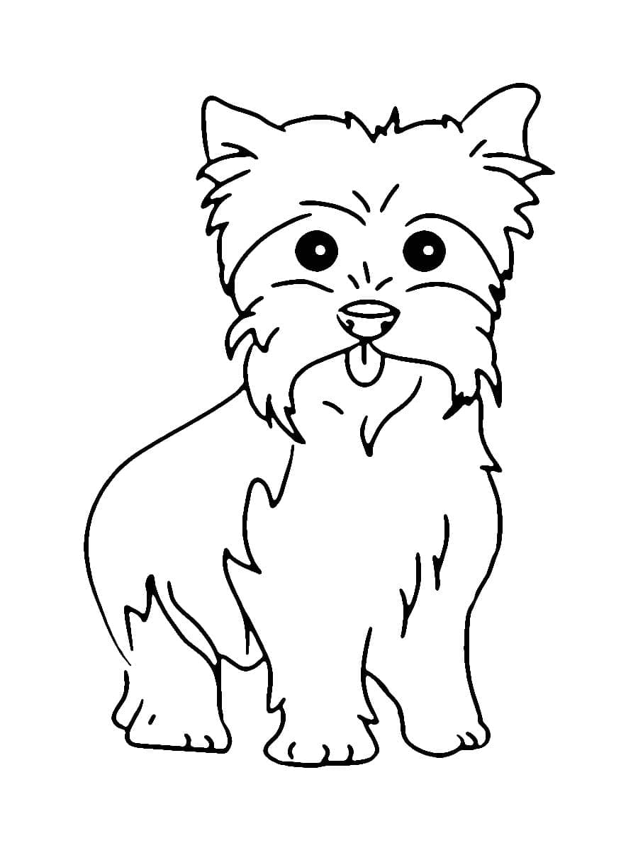 Desenho deYorkshire Terrier Para Crianças de 1 Ano para colorir